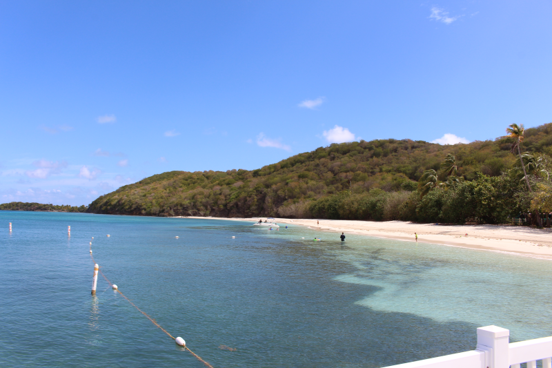 AMCIS 2015, Puerto Rico